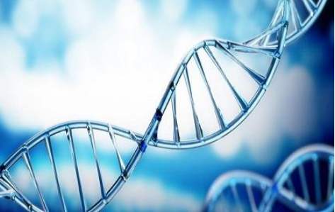 百傲(ao)2019再(zai)穫三證，進入DNA免提時代